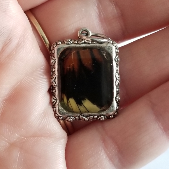 Butterfly wing charm pendant silver tone real insect bug resin handmade - Picture 3 of 10